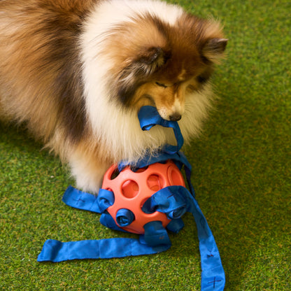 DUIT - YUMMY BALL TOY