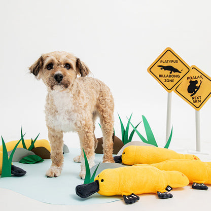 BITE ME - Big Tug Toy - Platypus 