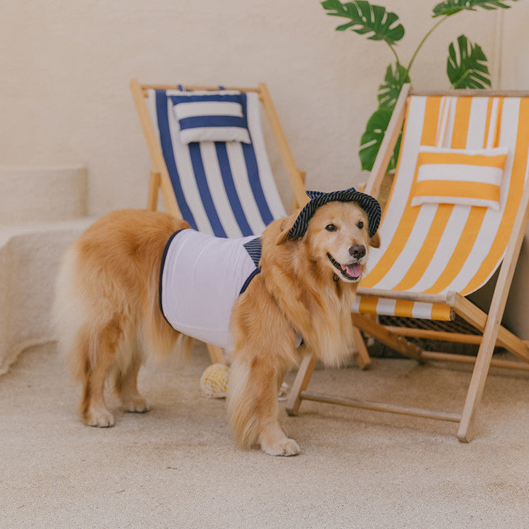 ToDley - ete COOL TEE (WHITE & NAVY)