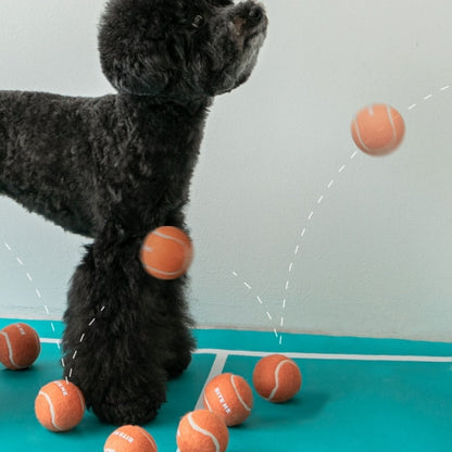 BITE ME - Mini Tennis Ball Toy 3 pieces 
