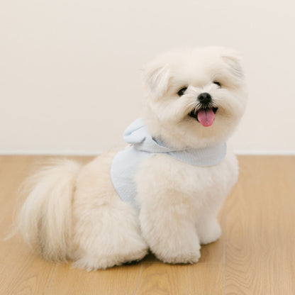 SSFW - Love, Walk Teddy Harness (3 colors)