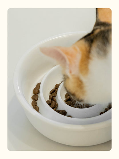 FIDOTAIL - Slow Feeder Pad 