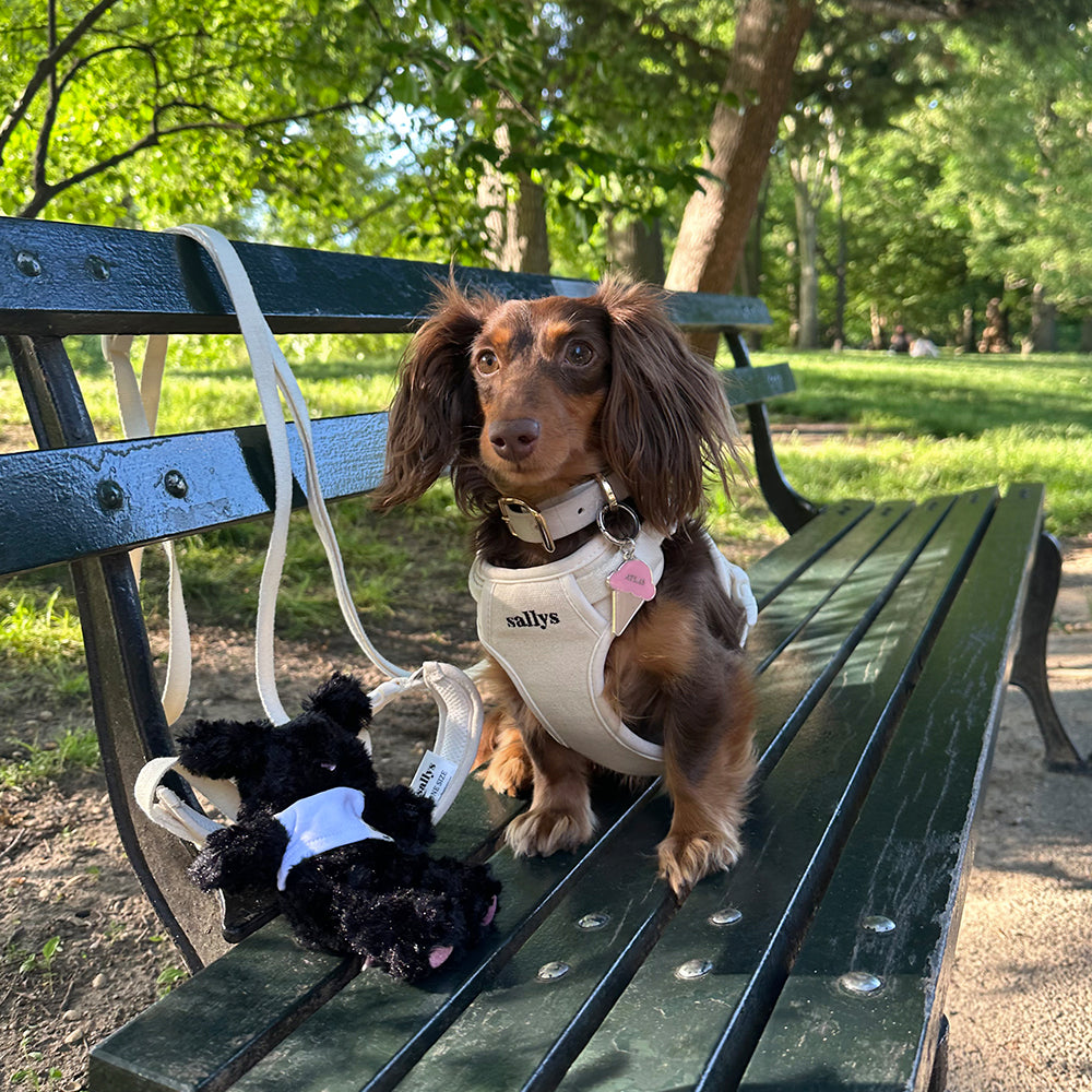 THESALLYSLAW - Classic walk harness