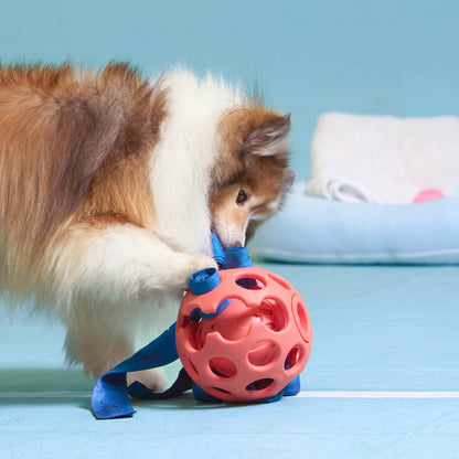 DUIT - YUMMY BALL TOY
