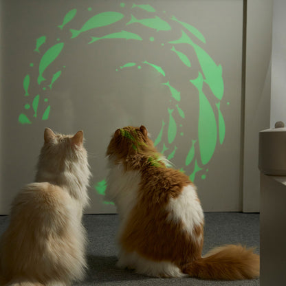 DUIT - KITTY CINEMA