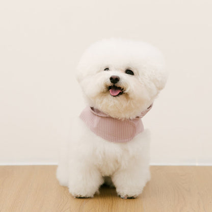 SSFW - Love, Walk Teddy Harness (3 colors)