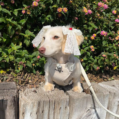 THESALLYSLAW - Classic walk harness 