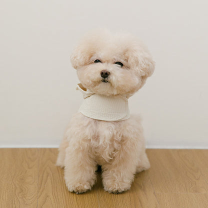 SSFW - Love, Walk Teddy Harness (3 colors)