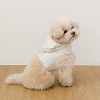SSFW - Love, Walk Teddy Harness (3 colors)
