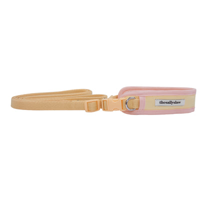 THESALLYSLAW - CUSHIONING TWO WAY LEASH 