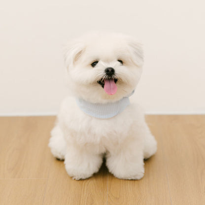 SSFW - Love, Walk Teddy Harness (3 colors)