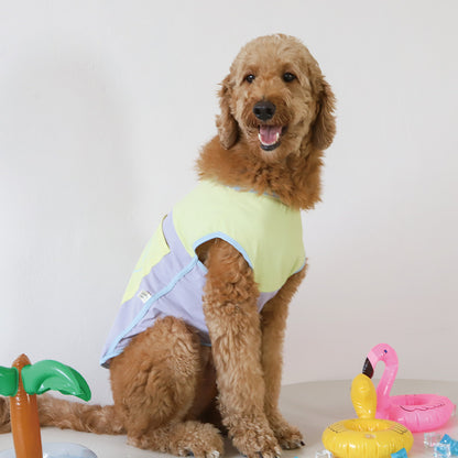 U&amp;PET - Ice pack luminous cooling vest in hot summer 