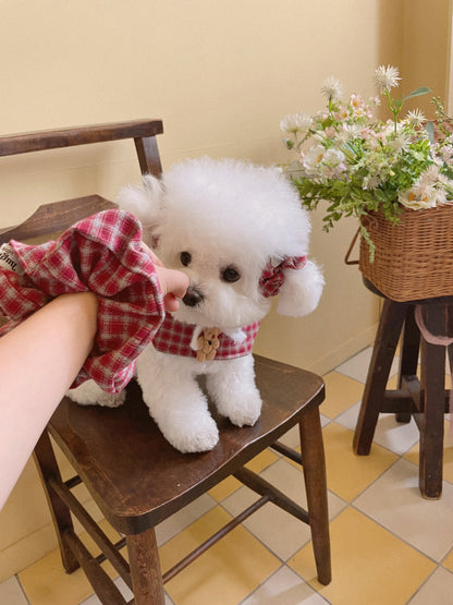 HUG ME MORE - AUTUMN CHECK SCRUNCHY (PET VER.)