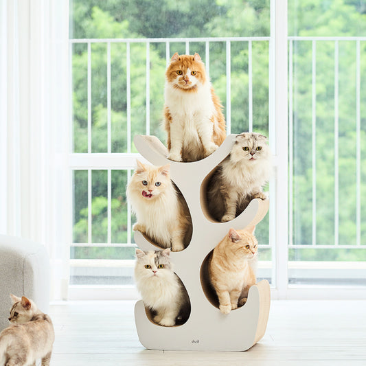 DUIT - KITTY TREE