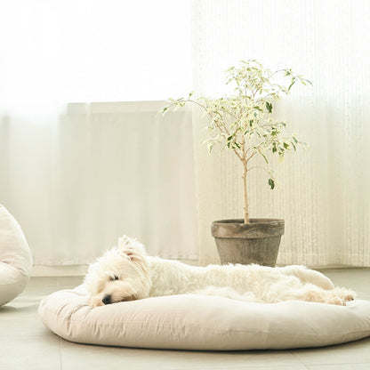DUIT - DIM SUM CUSHION 