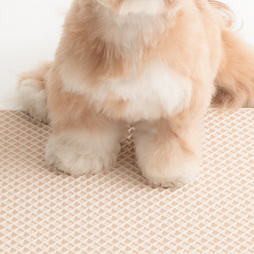 BITE ME - Zero Guard Silicone Mat (2colors)