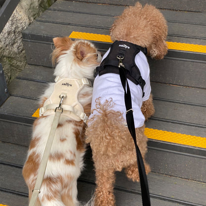 THESALLYSLAW - Classic walk harness 