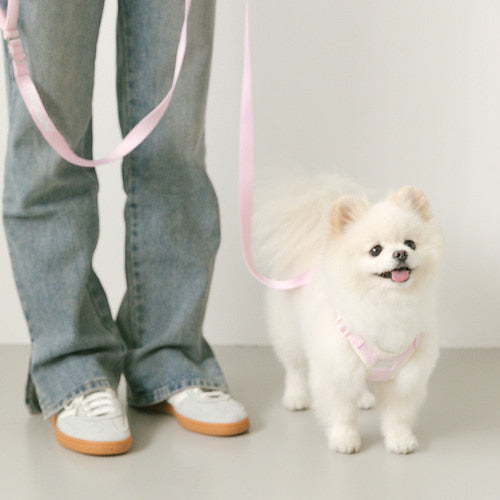 SSFW - Everyday Leash (4 colors)