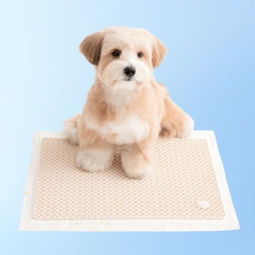 BITE ME - Zero Guard Silicone Mat (2colors)