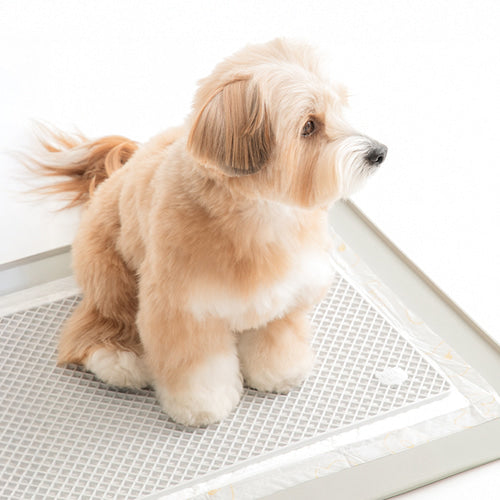 BITE ME - Zero Guard Silicone Mat (2colors)