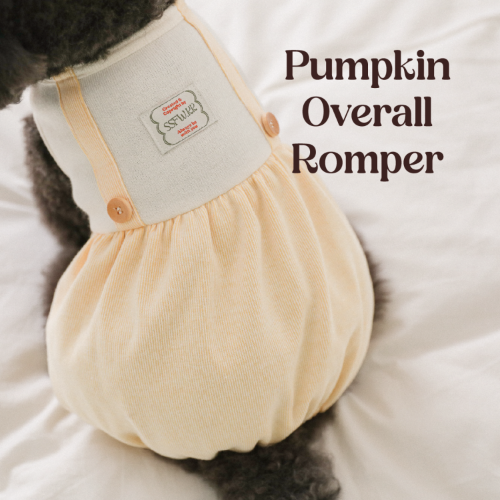 SSFW - Pumpkin Overall Romper (3 colors)