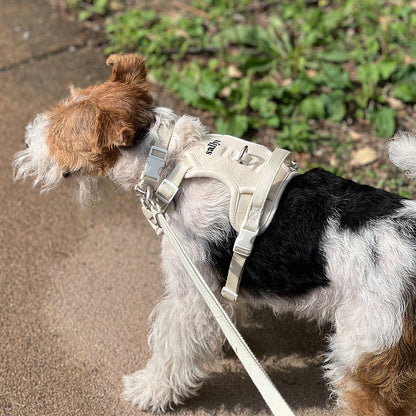 THESALLYSLAW - Classic walk harness 