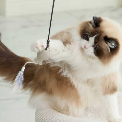DUIT - KITTY PICKER