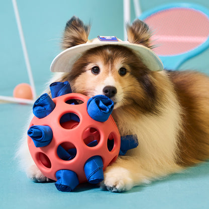 DUIT - YUMMY BALL TOY