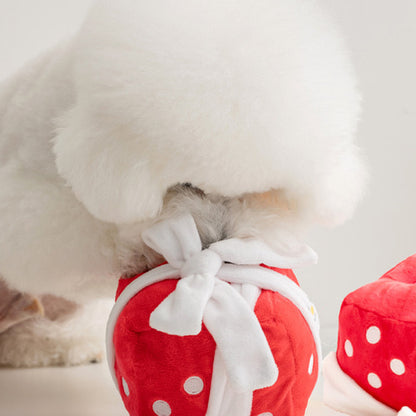 BITE ME - Gift Box Nosework Toy