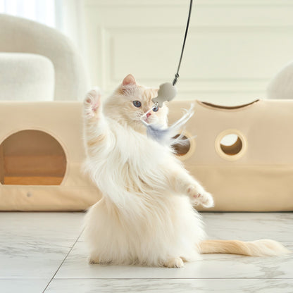 DUIT - KITTY PICKER