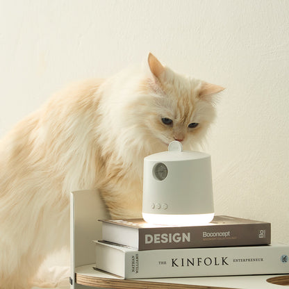 DUIT - KITTY CINEMA
