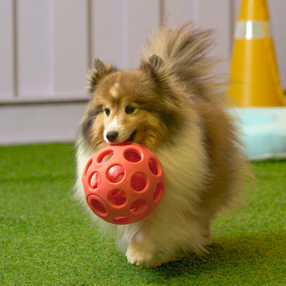 DUIT - YUMMY BALL TOY
