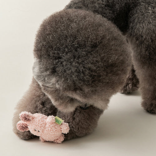 BonBon Green - FURRY FRIENDS MINI SQUEAKY TOY