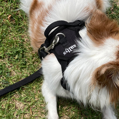 THESALLYSLAW - Classic walk harness 