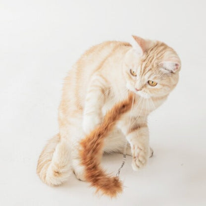 BITE ME - Cat Fishing Toy Refill Set [Basic] 