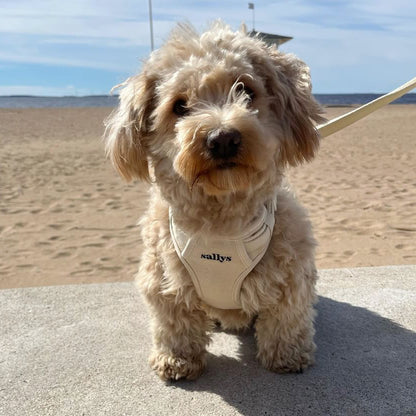 THESALLYSLAW - Classic walk harness 