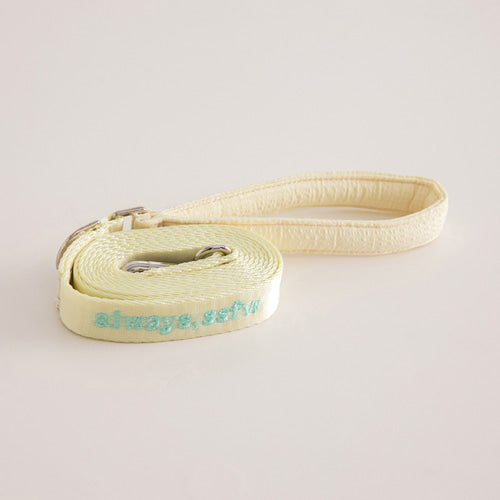 SSFW - Everyday Leash (4 colors)