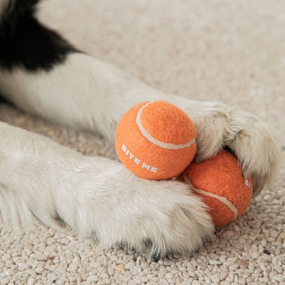 BITE ME - Mini Tennis Ball Toy 3 pieces 