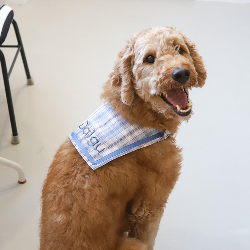 U&PET - School check embroidered cape scarf