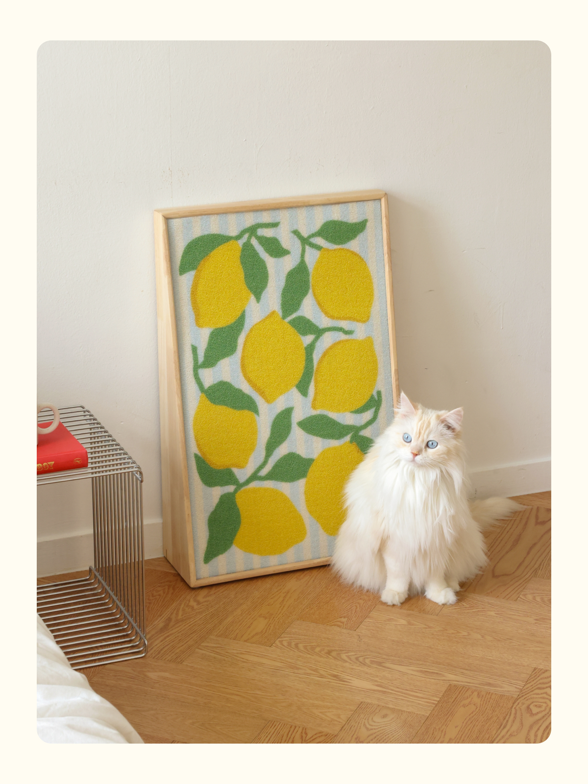 FIDOTAIL - Art Poster Scratcher