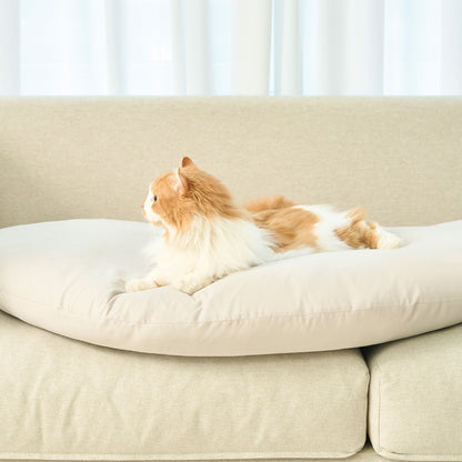 DUIT - DIM SUM CUSHION 
