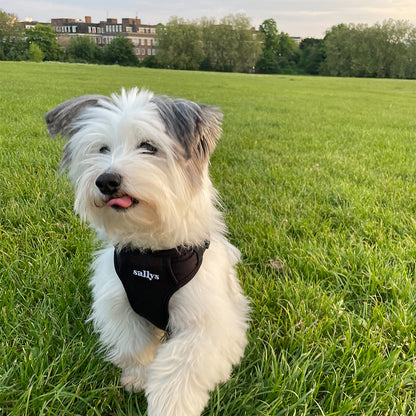 THESALLYSLAW - Classic walk harness 