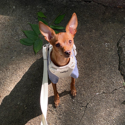 THESALLYSLAW - Classic walk harness 