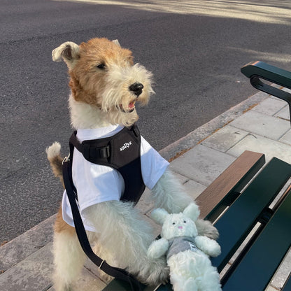 THESALLYSLAW - Classic walk harness 