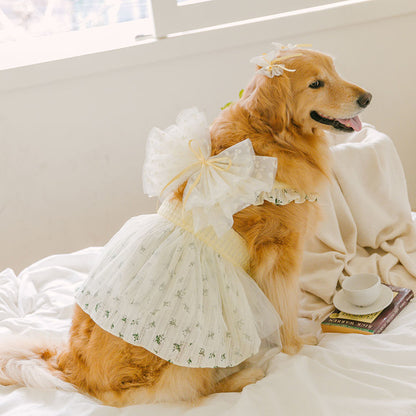 ToDley - TINKER BELL DRESS 